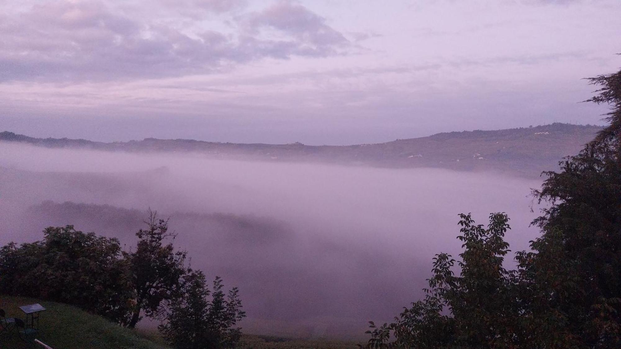 Tenuta Montanello B&B Castiglione Falletto Bagian luar foto