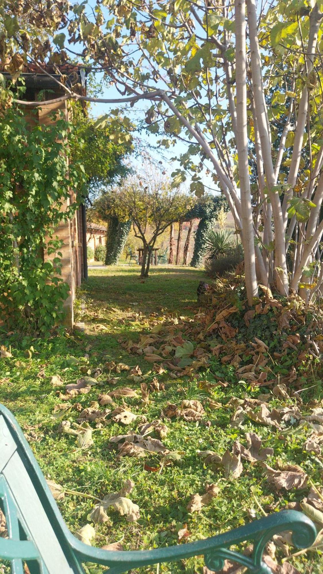 Tenuta Montanello B&B Castiglione Falletto Bagian luar foto