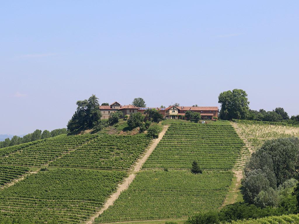 Tenuta Montanello B&B Castiglione Falletto Bagian luar foto