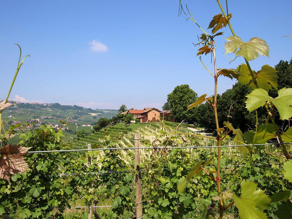 Tenuta Montanello B&B Castiglione Falletto Bagian luar foto